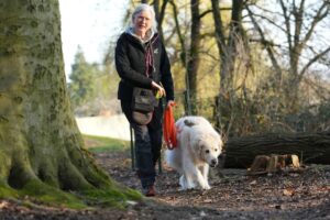 4096-2731-max-12-1-1-300x200